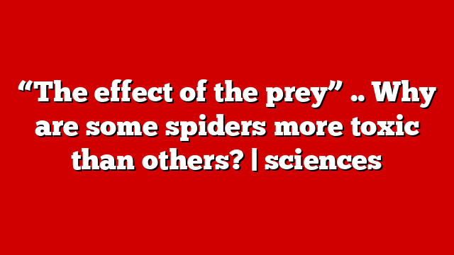 “The effect of the prey” .. Why are some spiders more toxic than others? | sciences