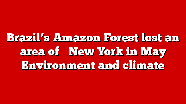 Brazil’s Amazon Forest lost an area of ​​New York in May Environment and climate
