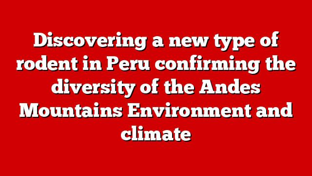 Discovering a new type of rodent in Peru confirming the diversity of the Andes Mountains Environment and climate
