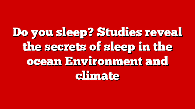 Do you sleep? Studies reveal the secrets of sleep in the ocean Environment and climate