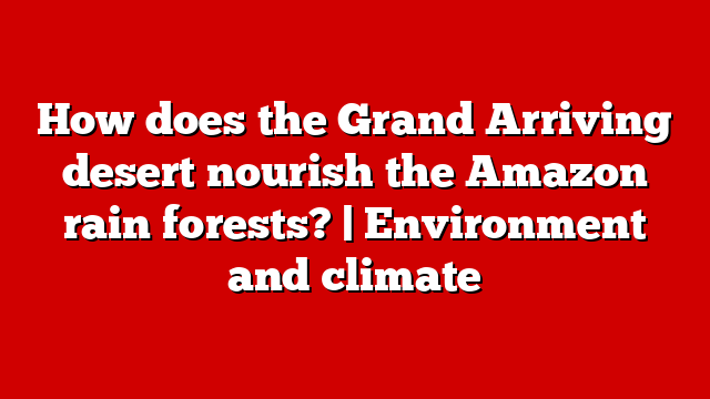 How does the Grand Arriving desert nourish the Amazon rain forests? | Environment and climate