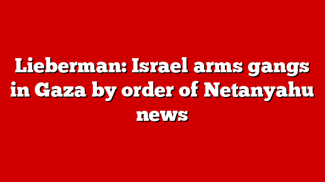 Lieberman: Israel arms gangs in Gaza by order of Netanyahu news