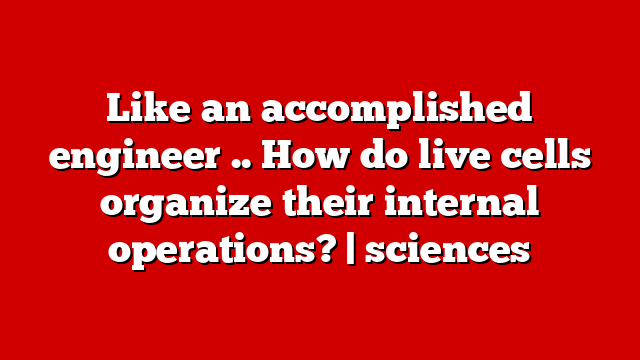 Like an accomplished engineer .. How do live cells organize their internal operations? | sciences