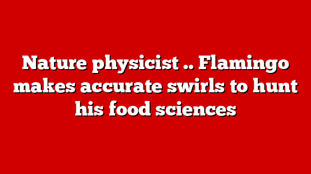 Nature physicist .. Flamingo makes accurate swirls to hunt his food sciences