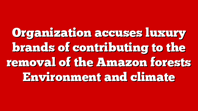 Organization accuses luxury brands of contributing to the removal of the Amazon forests Environment and climate