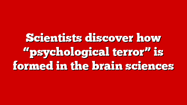 Scientists discover how “psychological terror” is formed in the brain sciences