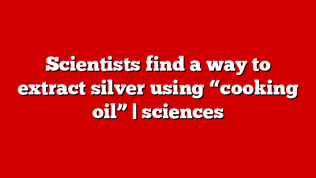 Scientists find a way to extract silver using “cooking oil” | sciences
