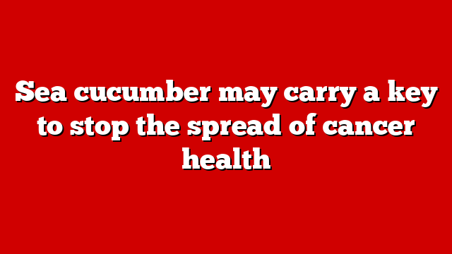 Sea cucumber may carry a key to stop the spread of cancer health