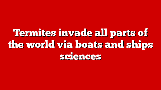 Termites invade all parts of the world via boats and ships sciences