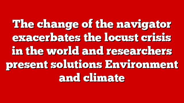 The change of the navigator exacerbates the locust crisis in the world and researchers present solutions Environment and climate