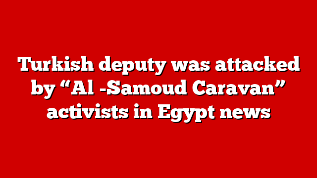 Turkish deputy was attacked by “Al -Samoud Caravan” activists in Egypt news