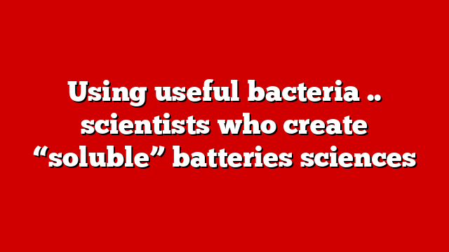 Using useful bacteria .. scientists who create “soluble” batteries sciences
