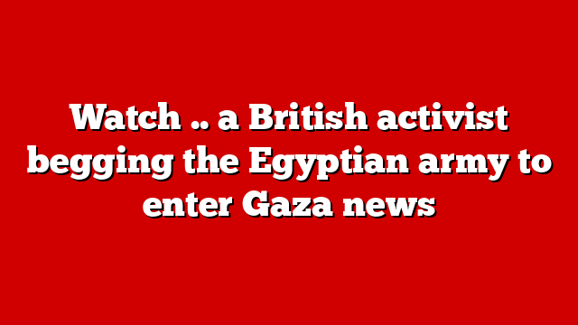 Watch .. a British activist begging the Egyptian army to enter Gaza news
