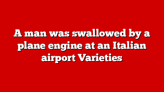 A man was swallowed by a plane engine at an Italian airport Varieties