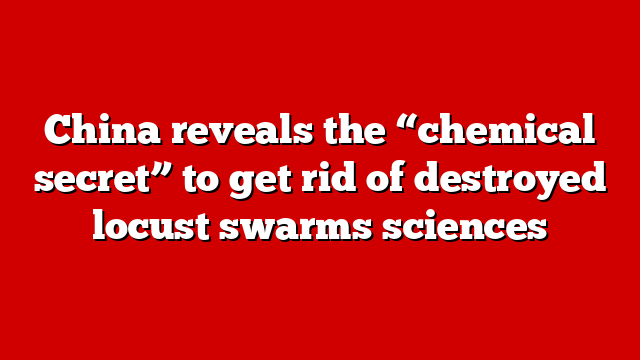 China reveals the “chemical secret” to get rid of destroyed locust swarms sciences