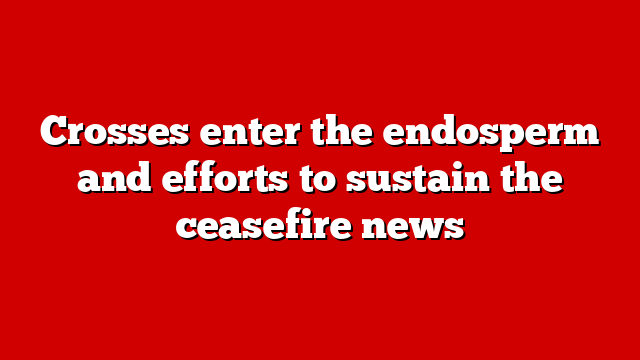 Crosses enter the endosperm and efforts to sustain the ceasefire news