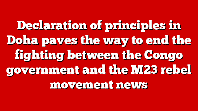 Declaration of principles in Doha paves the way to end the fighting between the Congo government and the M23 rebel movement news