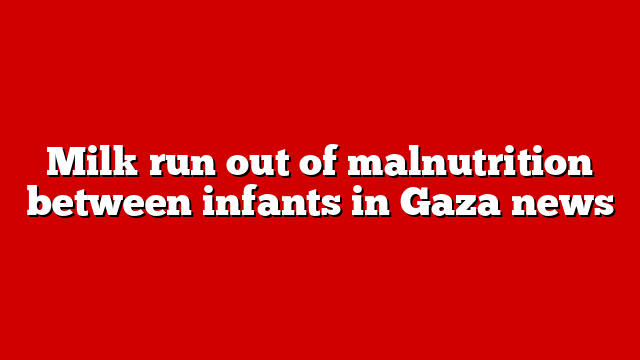 Milk run out of malnutrition between infants in Gaza news