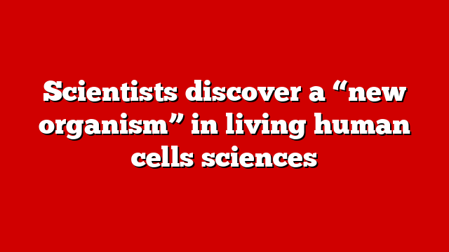 Scientists discover a “new organism” in living human cells sciences