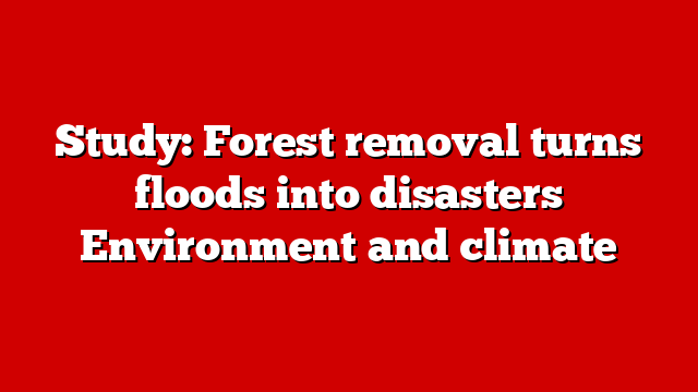 Study: Forest removal turns floods into disasters Environment and climate
