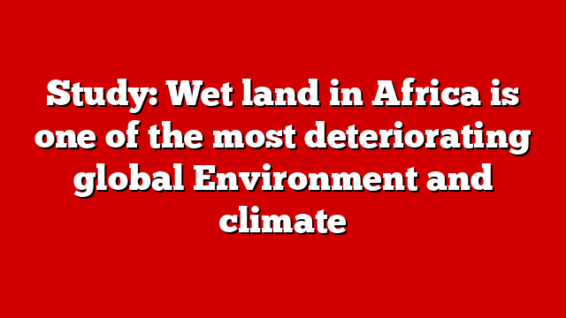 Study: Wet land in Africa is one of the most deteriorating global Environment and climate