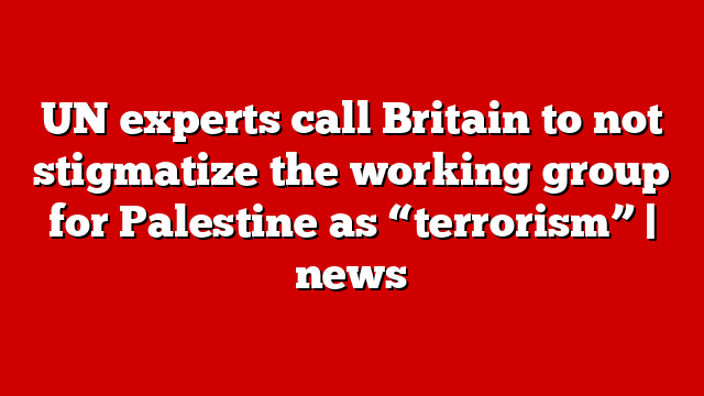 UN experts call Britain to not stigmatize the working group for Palestine as “terrorism” | news